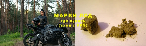 прущий лед Бородино