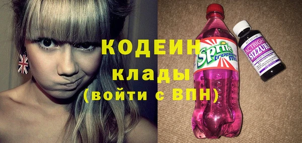 прущий лед Бородино