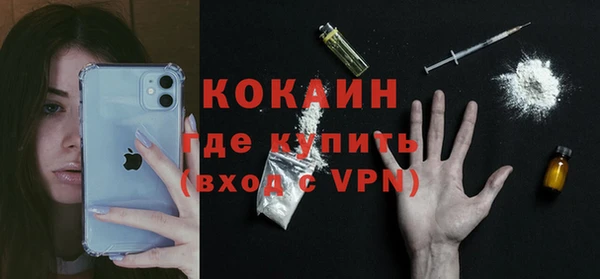 дживик Бронницы