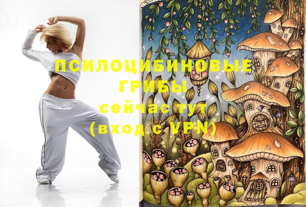 прущий лед Бородино