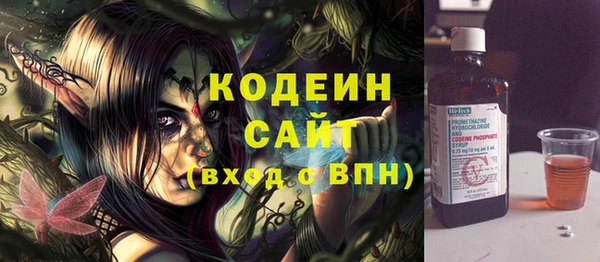 дживик Бронницы