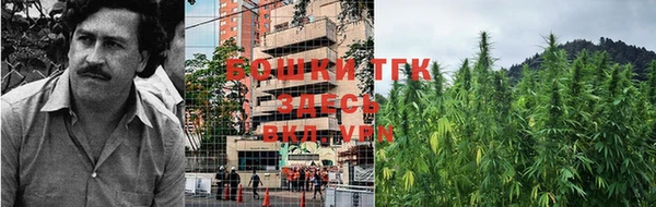 PSILOCYBIN Богородицк