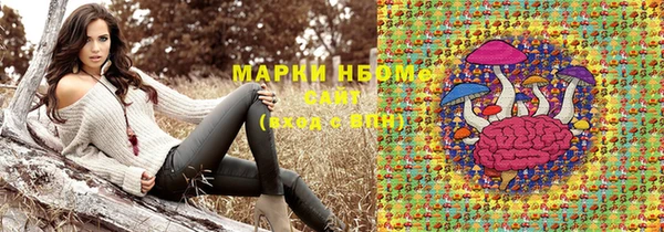 прущий лед Бородино