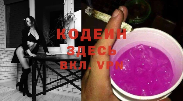 дживик Бронницы